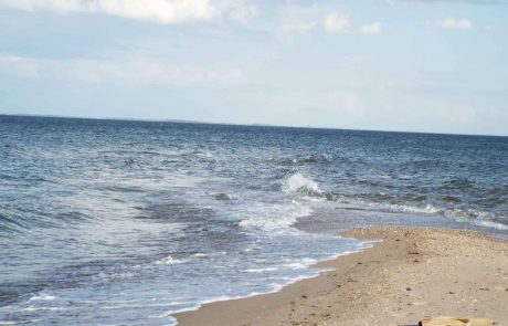 Chesapeake bay and shore