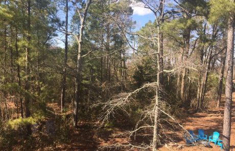 view from Cedar Beach Lodge balcony