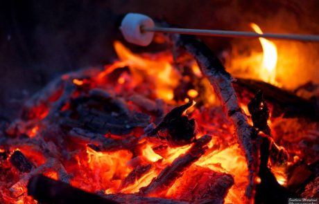 Marshmallow roasted over fore