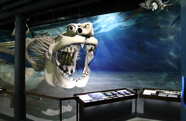 Calvert Marine Museum display