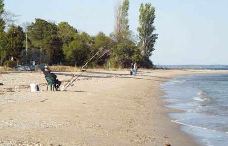 men fishing on beach